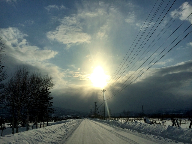 道と冬の日差し